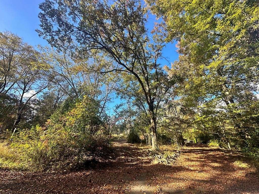 1.43 Acres of Residential Land for Sale in Hopkins, South Carolina