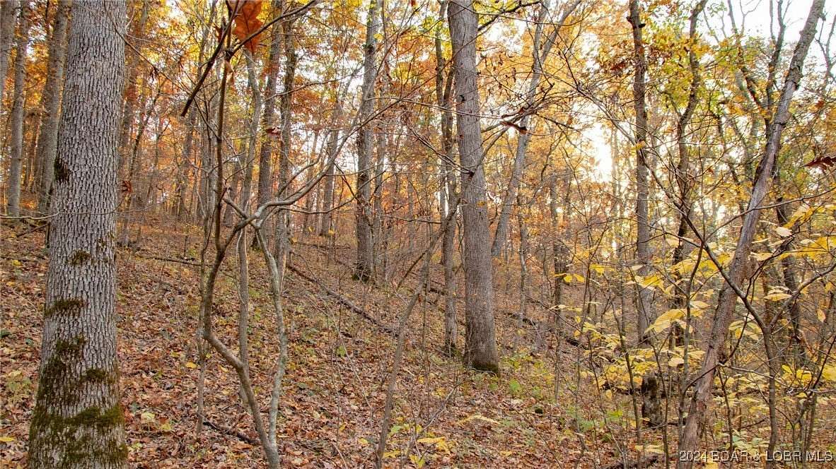 10.58 Acres of Recreational Land for Sale in Barnett, Missouri