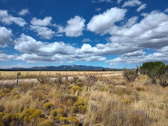 40.03 Acres of Land for Sale in Mountainair, New Mexico