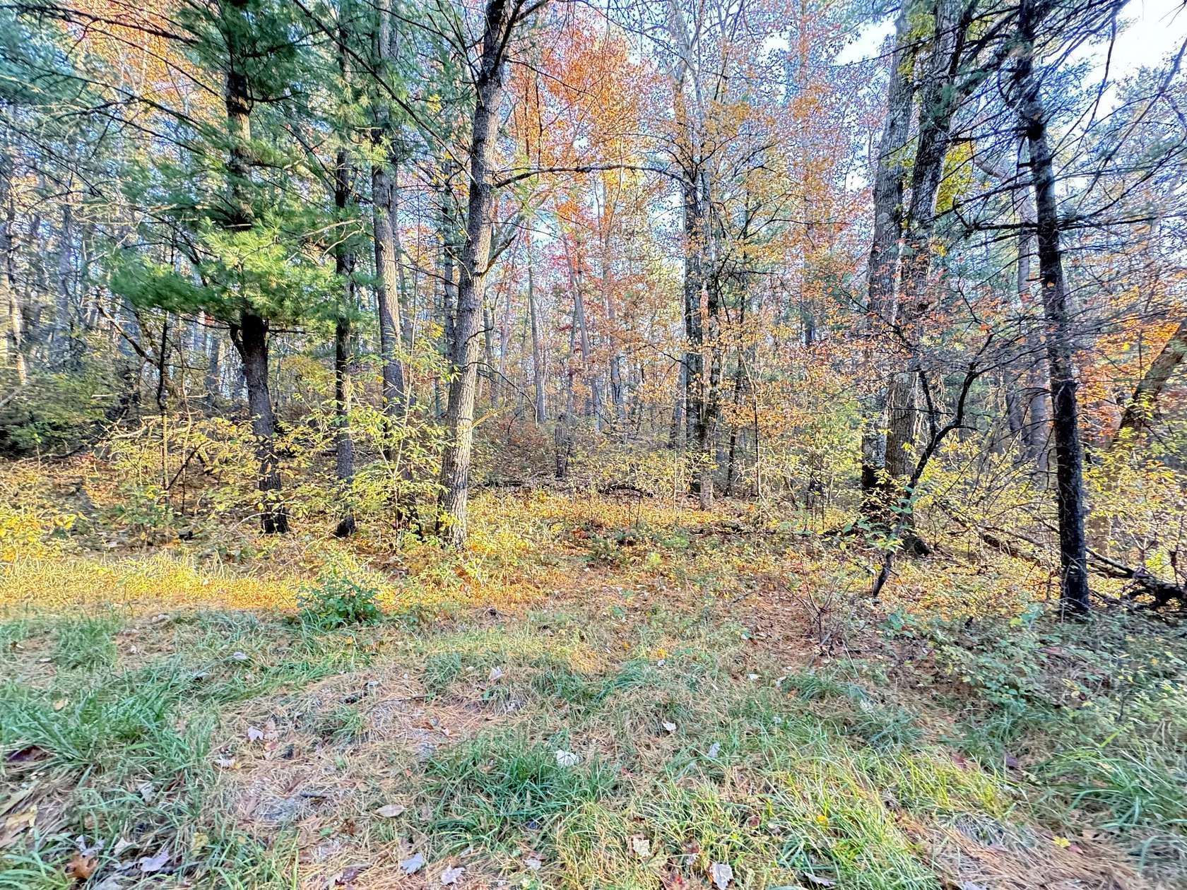 7.32 Acres of Residential Land for Sale in Newaygo, Michigan