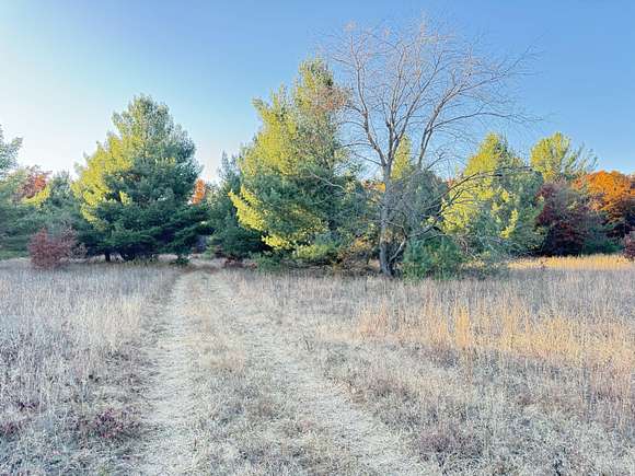 10.05 Acres of Recreational Land for Sale in Newaygo, Michigan