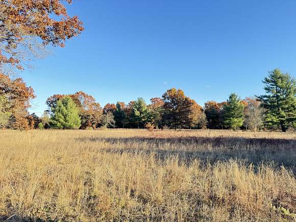 10.01 Acres of Recreational Land for Sale in Newaygo, Michigan