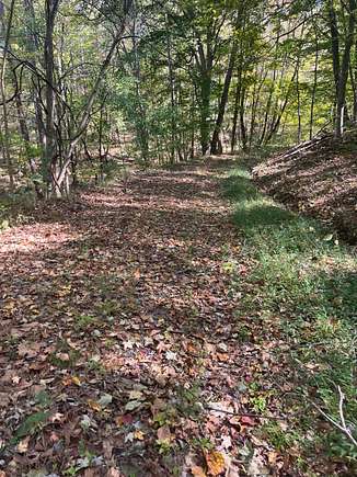 Road going into the property