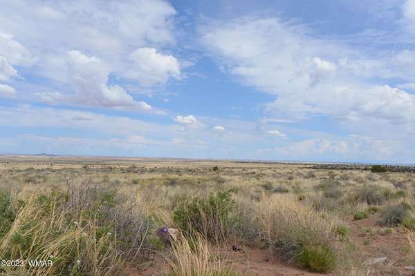 40.8 Acres of Land for Sale in Snowflake, Arizona