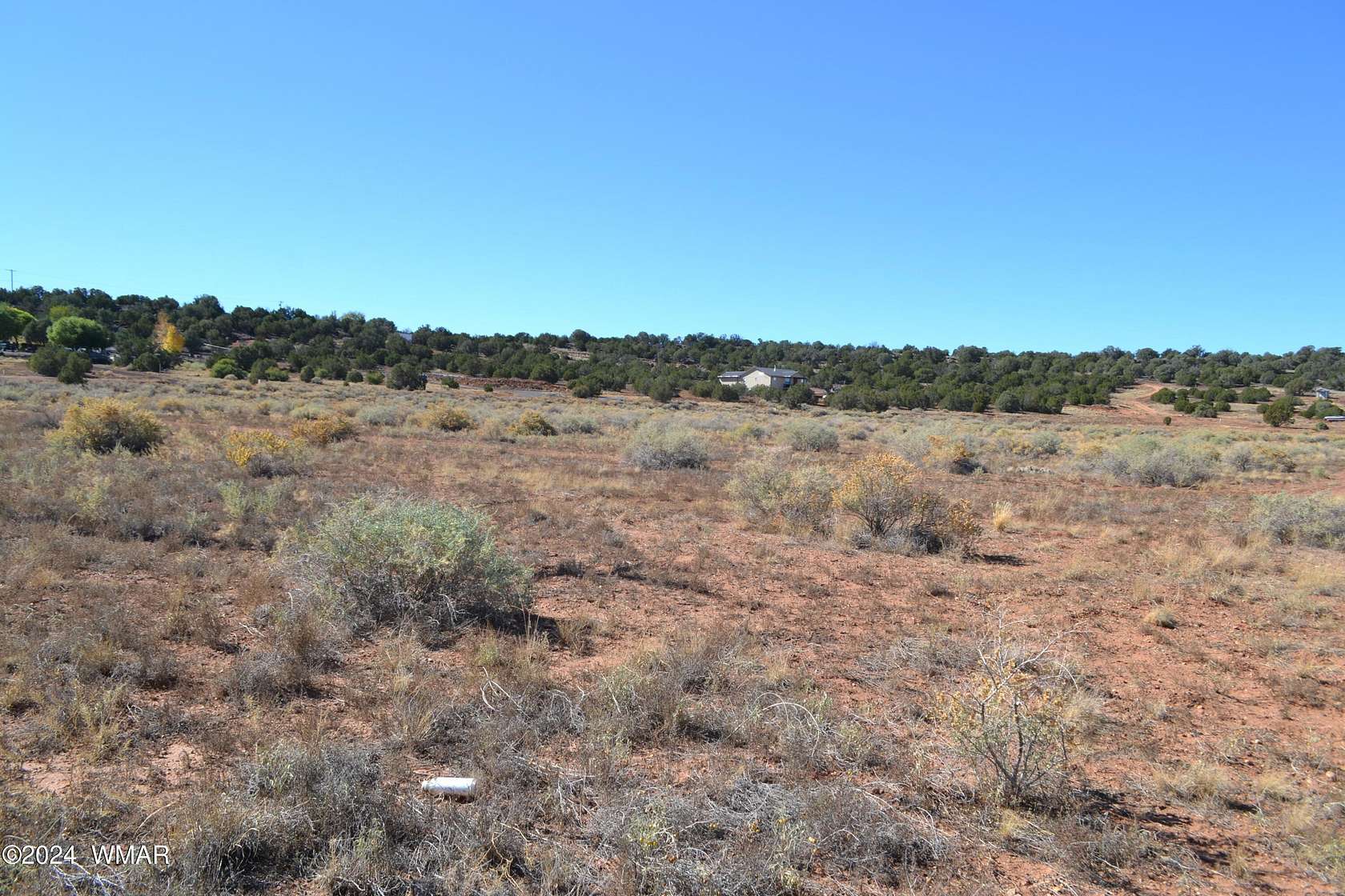 11.49 Acres of Land for Sale in Taylor, Arizona