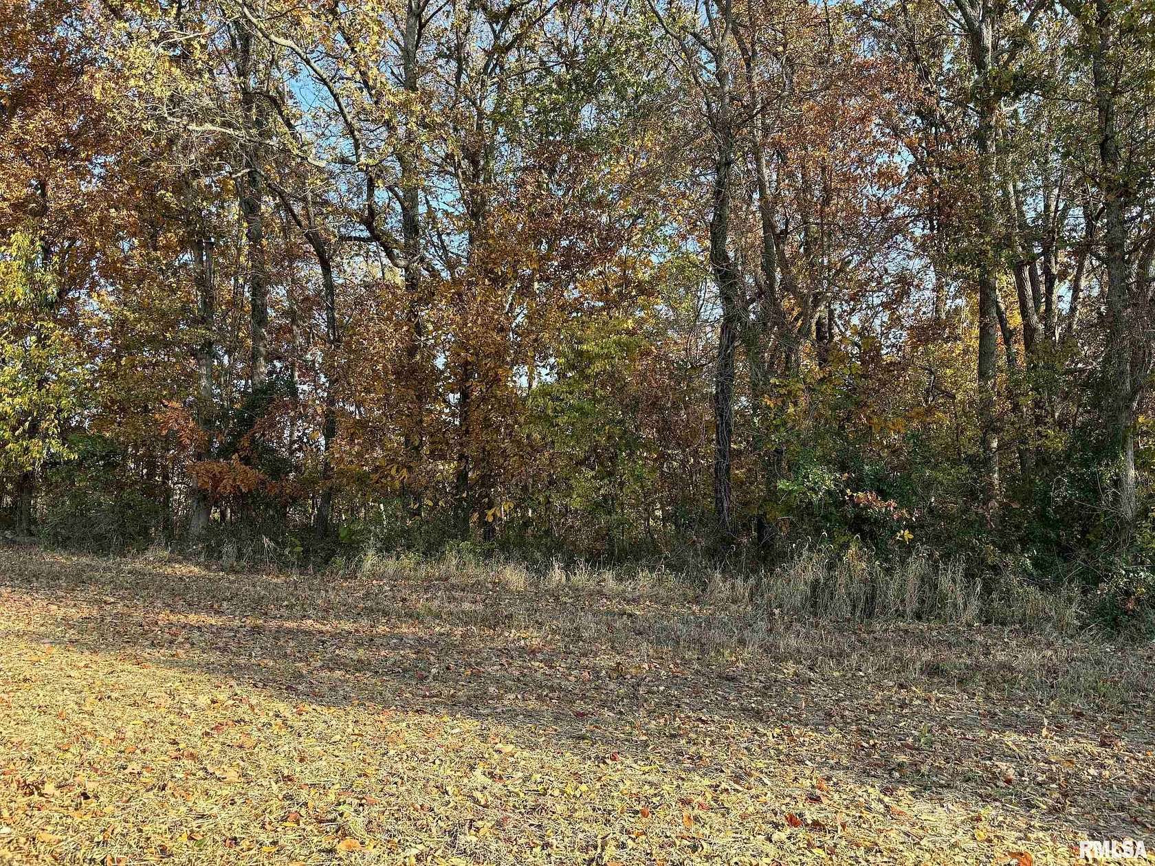 37 Acres of Land with Home for Sale in Mount Vernon, Illinois