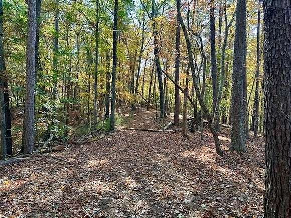 10.84 Acres of Land for Sale in Dawsonville, Georgia