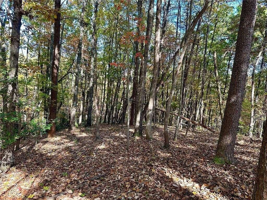 6.74 Acres of Residential Land for Sale in Dawsonville, Georgia