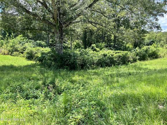 2 Acres of Commercial Land for Sale in Wiggins, Mississippi