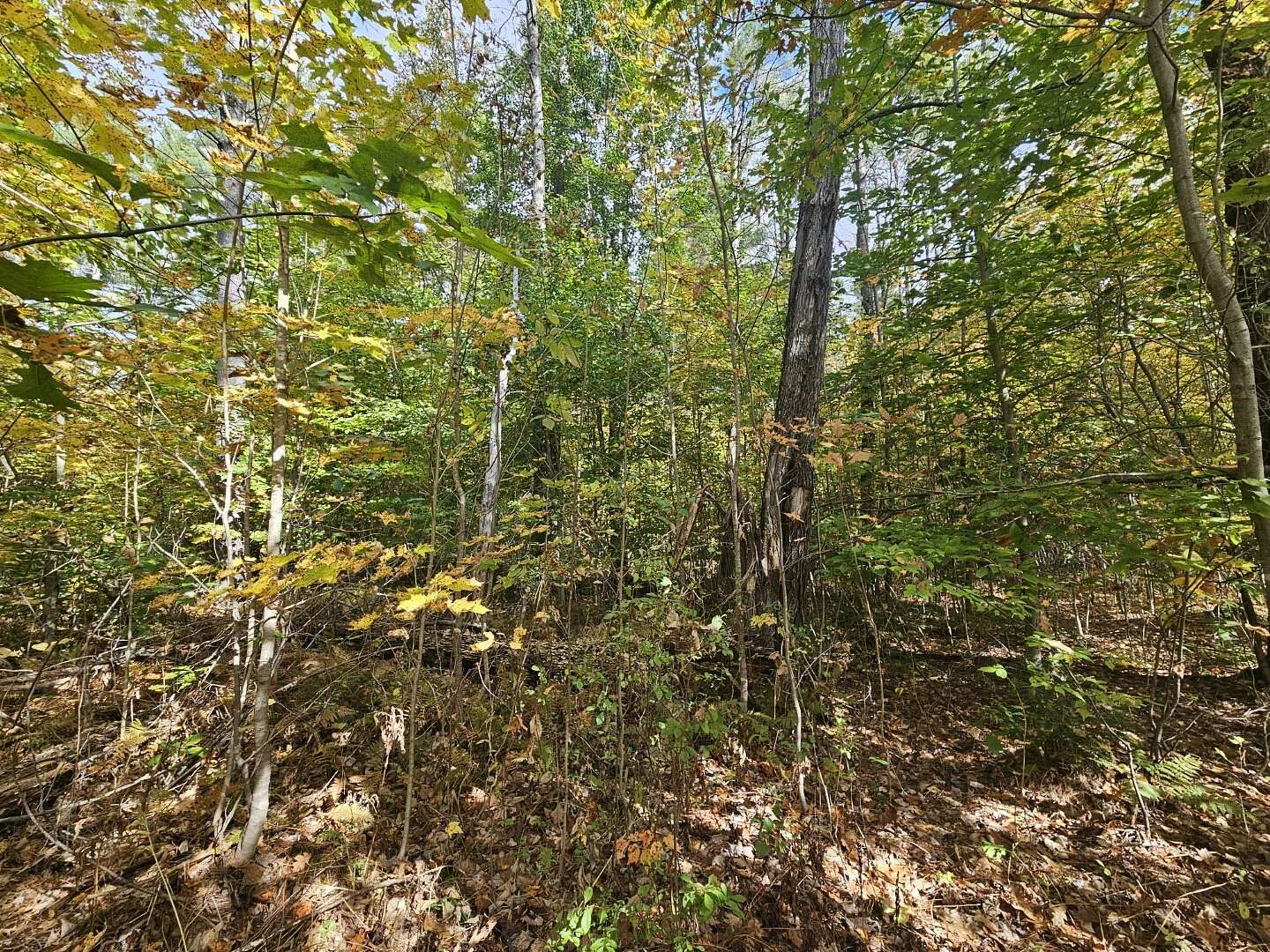 48 Acres of Recreational Land for Sale in Mercer, Maine