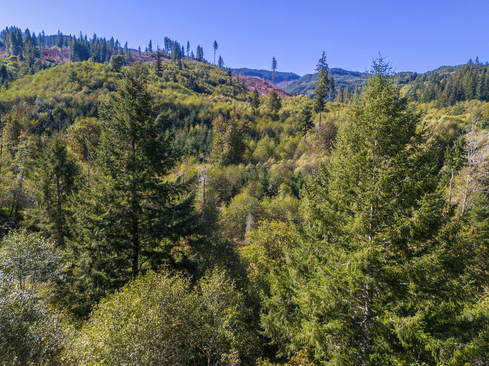 122.09 Acres of Recreational Land for Sale in Nehalem, Oregon