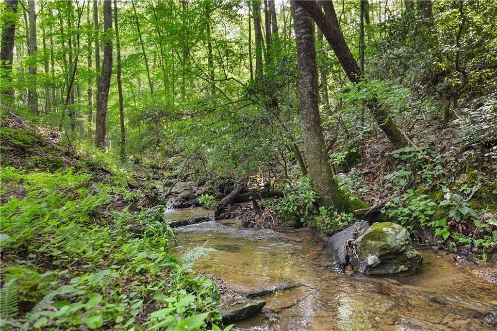 21.17 Acres of Land with Home for Sale in Ellijay, Georgia