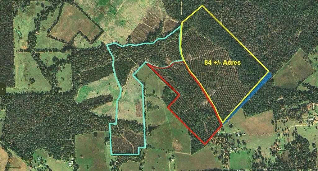 84 Acres of Recreational Land for Sale in Groveton, Texas