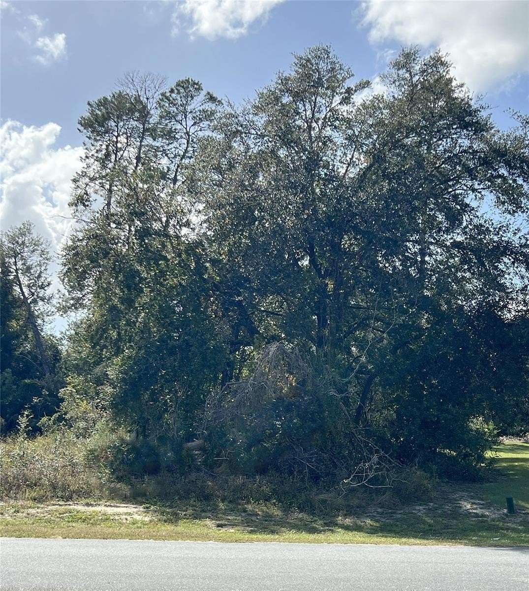 0.23 Acres of Residential Land for Sale in Ocala, Florida