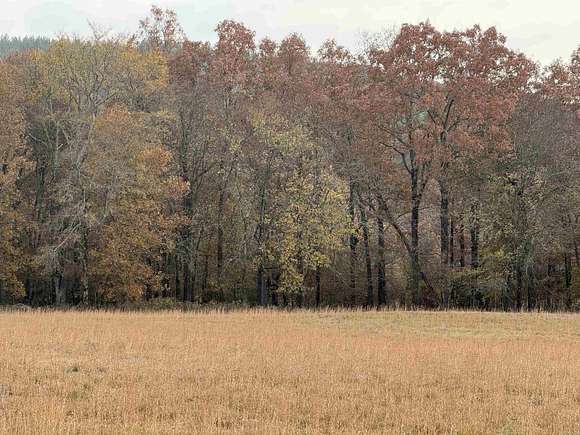 132 Acres of Recreational Land for Sale in Plainview, Arkansas