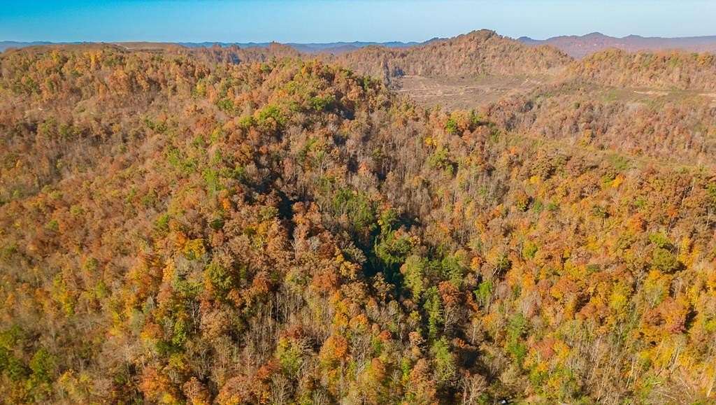 25 Acres of Land for Sale in Printer, Kentucky