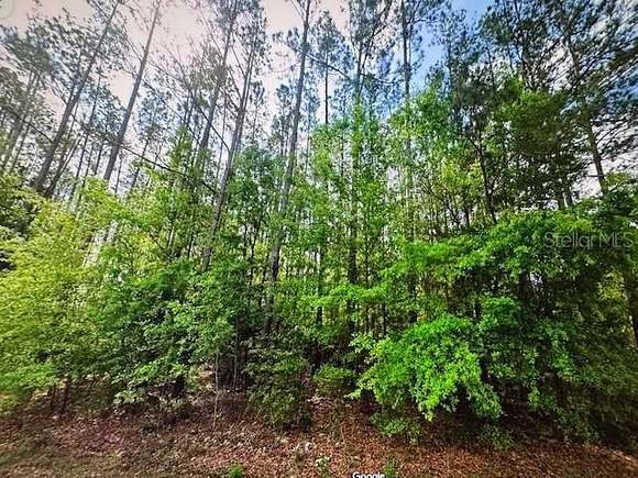 4 Acres of Residential Land for Sale in Jasper, Florida