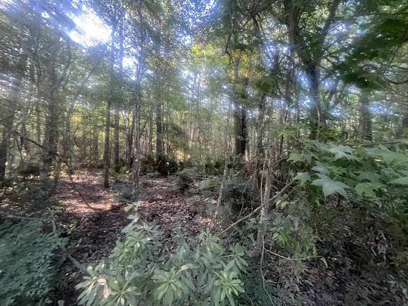 1.08 Acres of Residential Land for Sale in Tallahassee, Florida