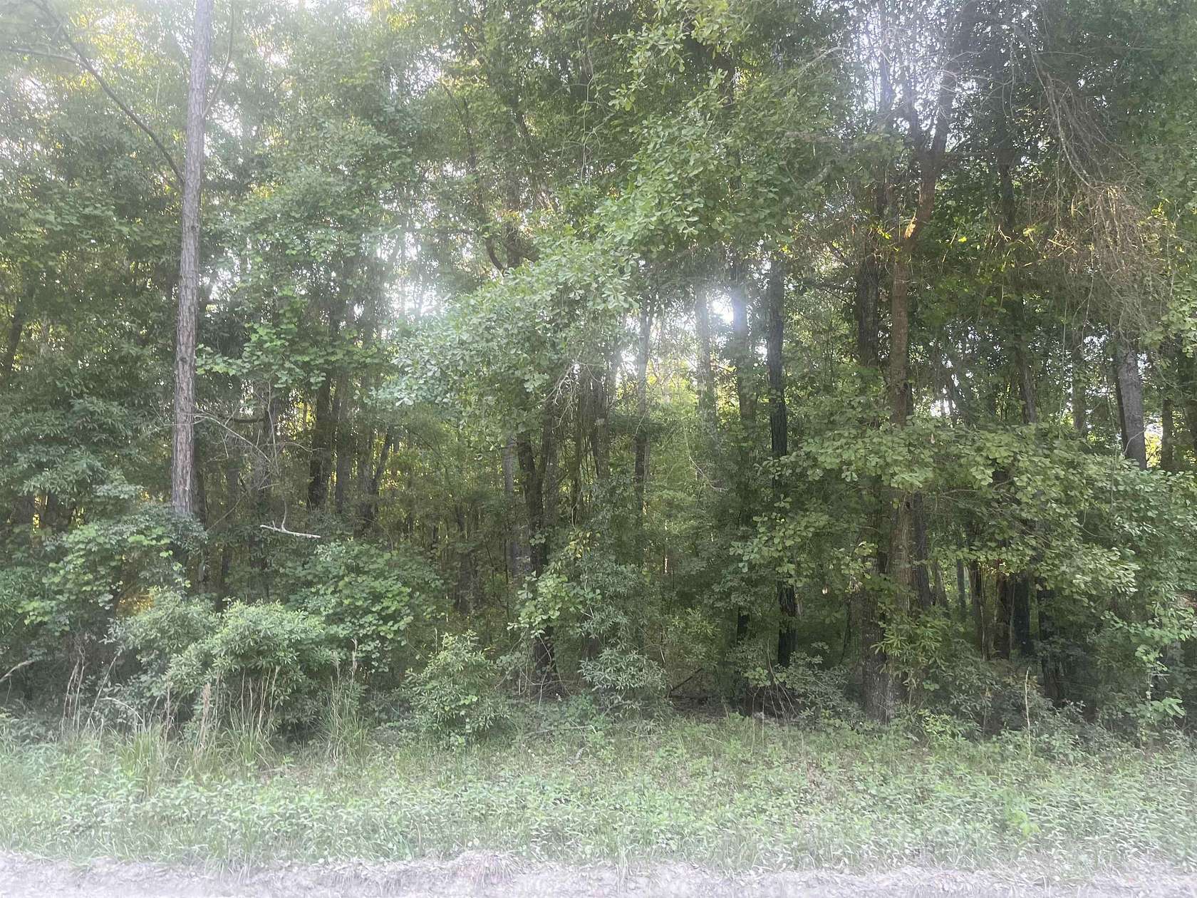 1 Acre of Residential Land for Sale in Tallahassee, Florida