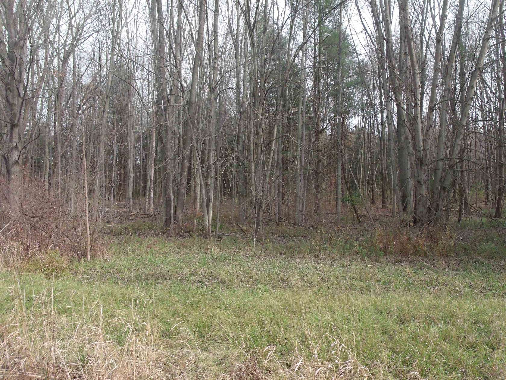 3.5 Acres of Residential Land for Sale in Casco, Michigan