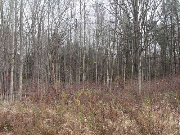 3.5 Acres of Residential Land for Sale in Casco, Michigan