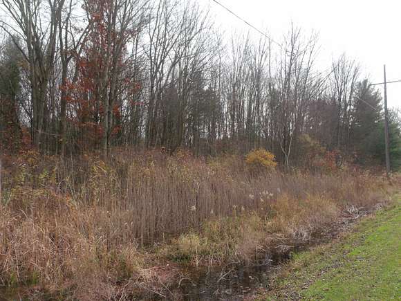 3.5 Acres of Residential Land for Sale in Casco, Michigan