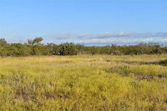 10.28 Acres of Recreational Land for Sale in Rochelle, Texas