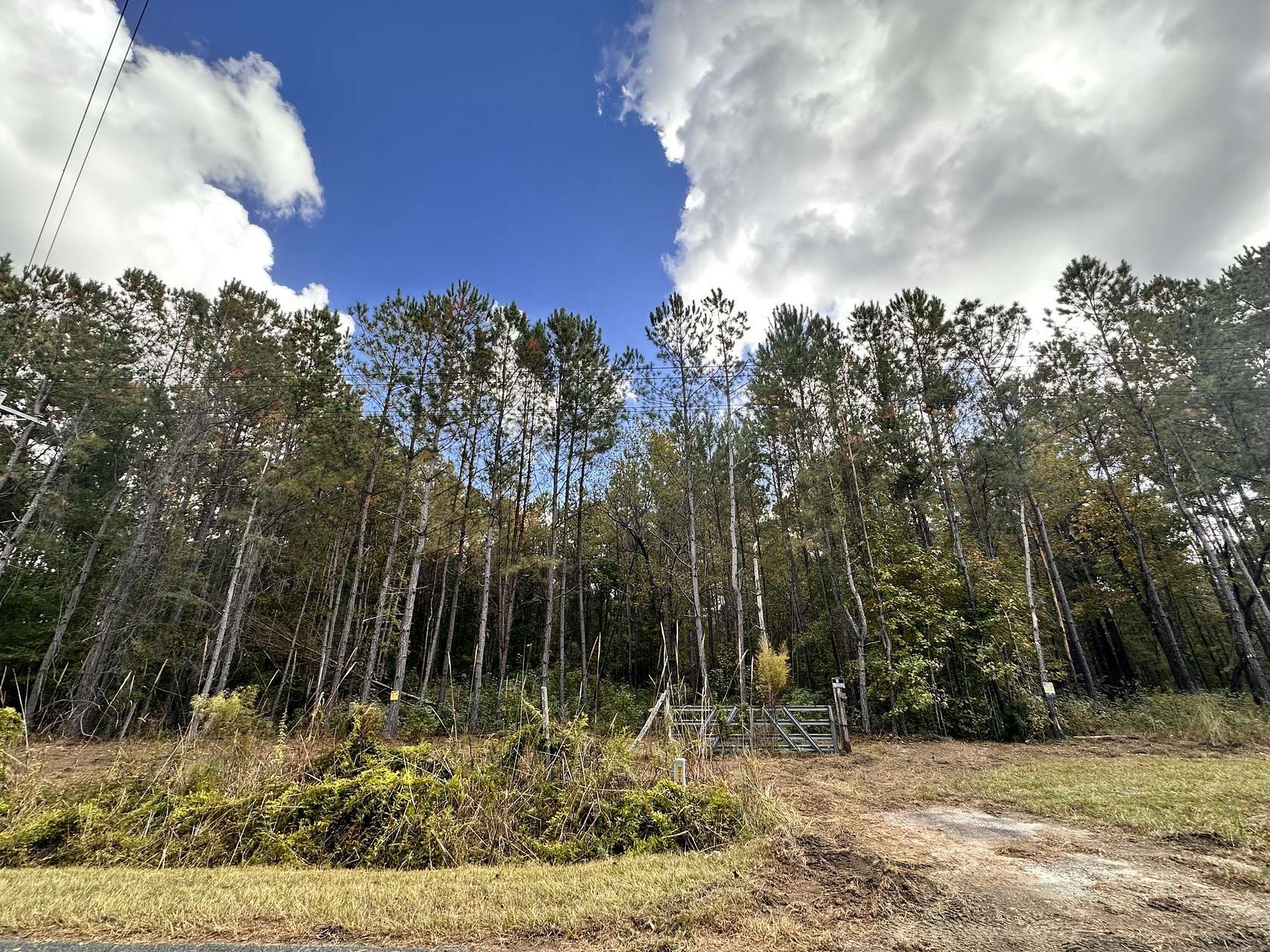 10.13 Acres of Land for Sale in St. Stephen, South Carolina