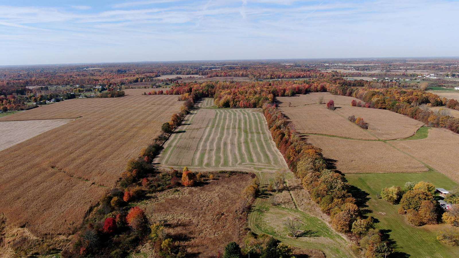 42.7 Acres of Land for Auction in Sullivan, Ohio