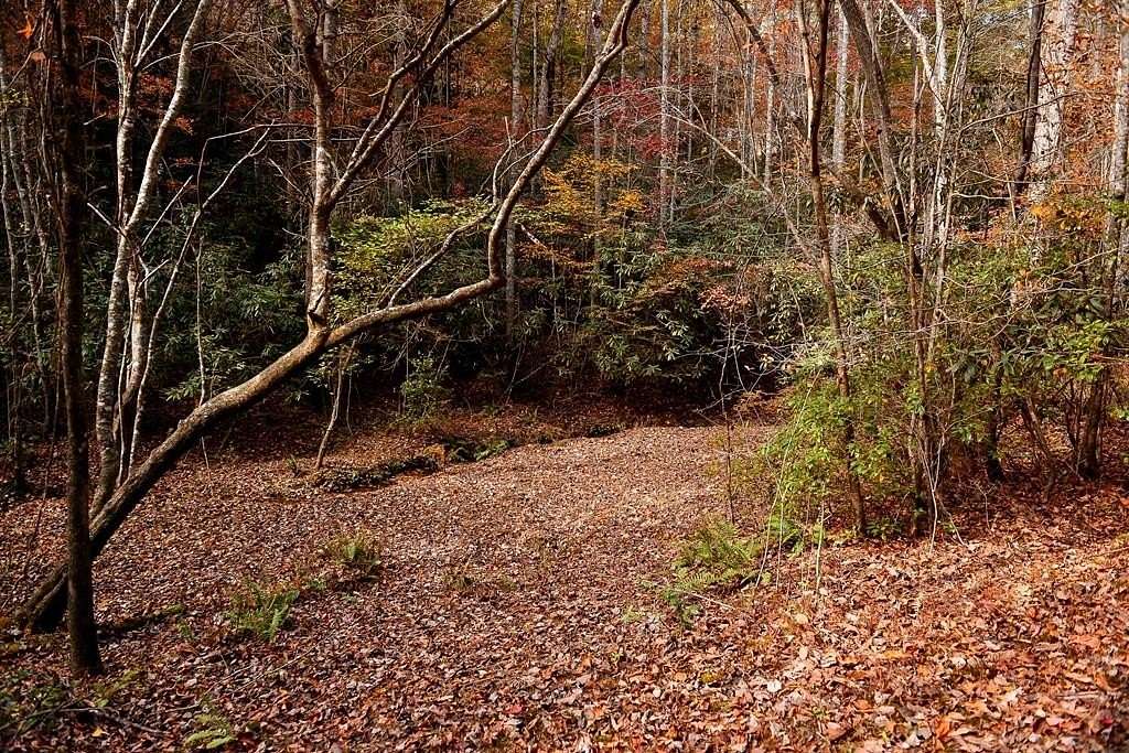 3 Acres of Land for Sale in Epworth, Georgia