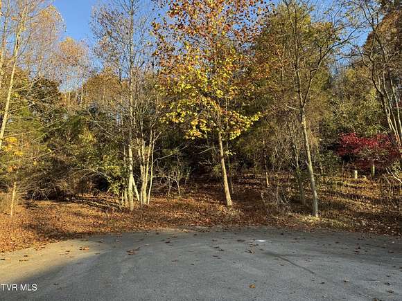 0.97 Acres of Residential Land for Sale in Gate City, Virginia