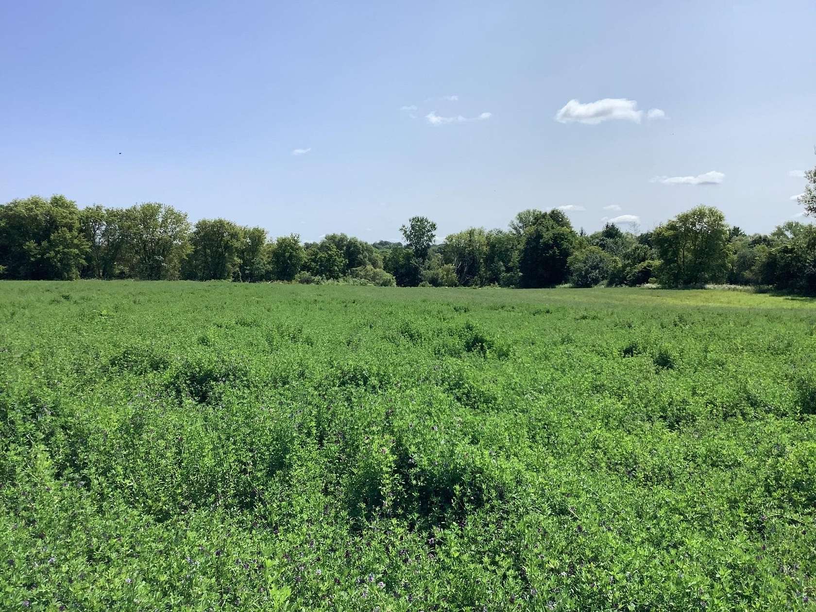 7.47 Acres of Land for Sale in Manawa, Wisconsin