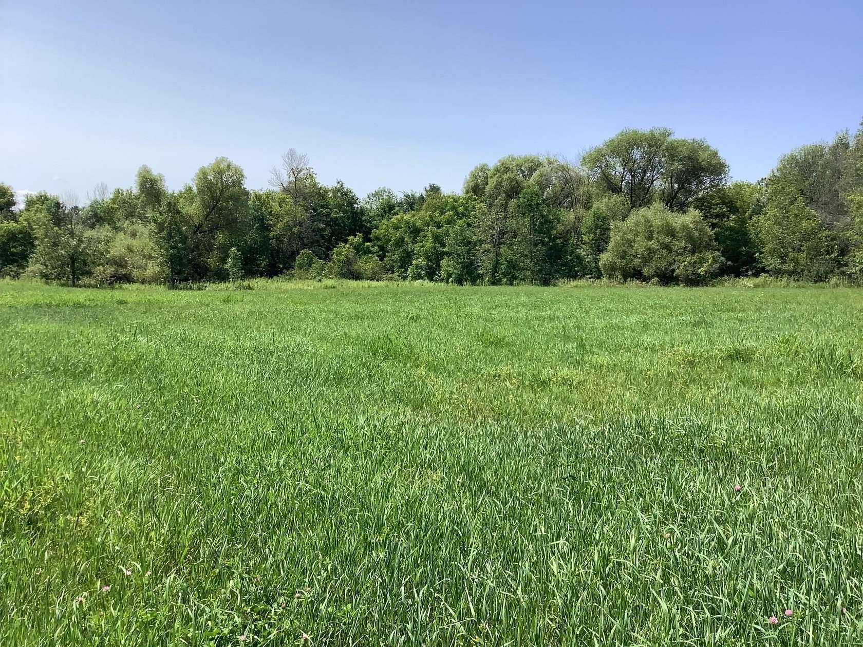 4.31 Acres of Residential Land for Sale in Manawa, Wisconsin