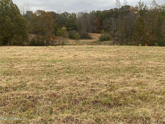 32.16 Acres of Agricultural Land for Sale in Coldwater, Mississippi