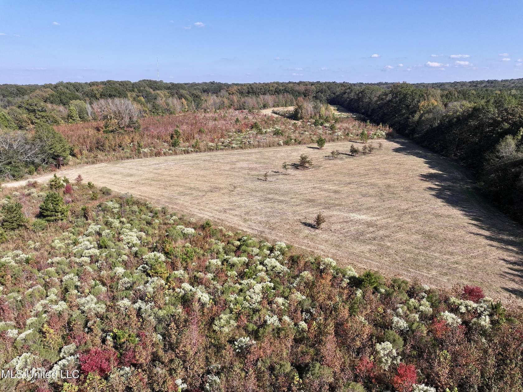 172.2 Acres of Recreational Land for Sale in Pocahontas, Mississippi