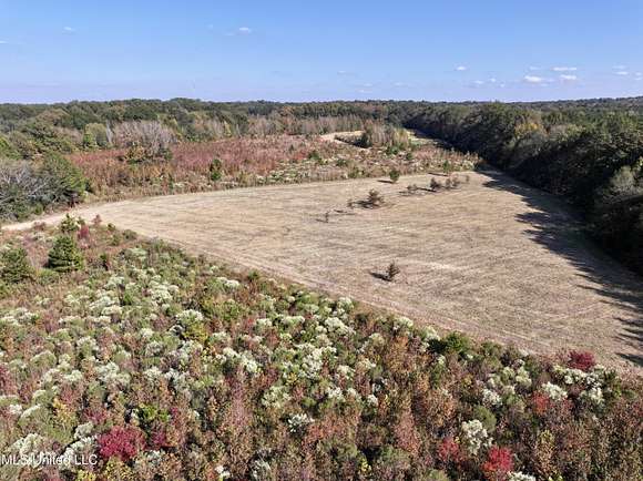 172.2 Acres of Recreational Land for Sale in Pocahontas, Mississippi