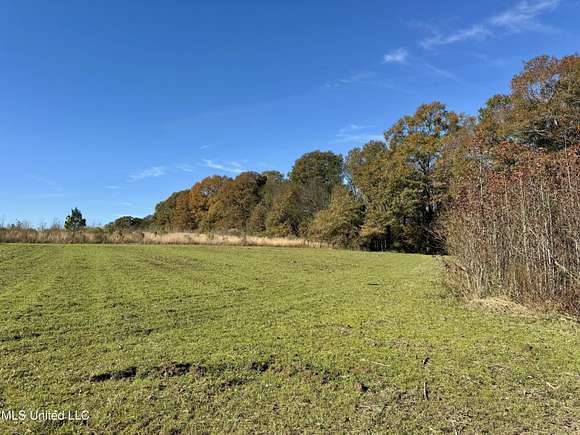 172.2 Acres of Recreational Land for Sale in Pocahontas, Mississippi