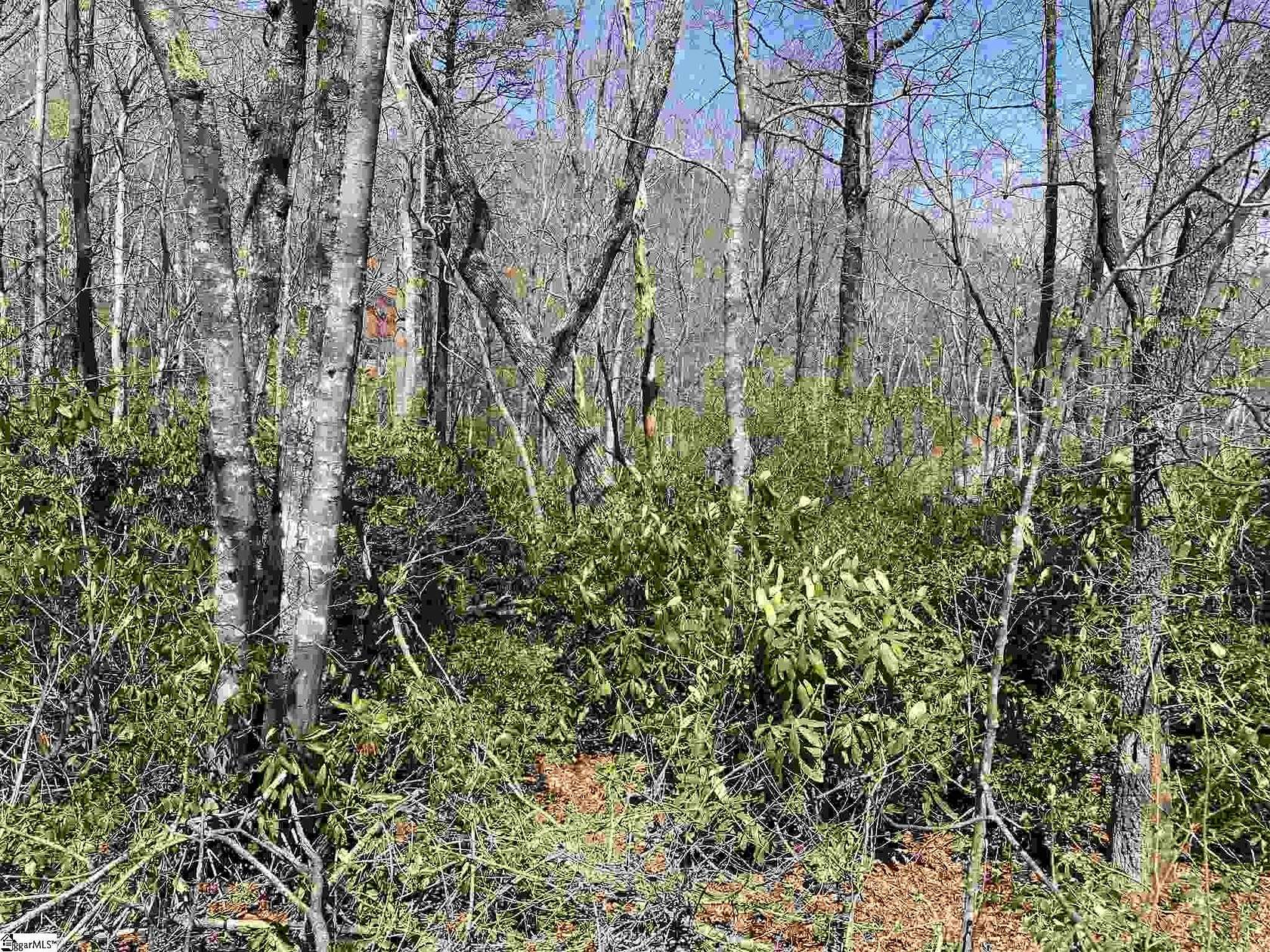 0.7 Acres of Residential Land for Sale in Landrum, South Carolina