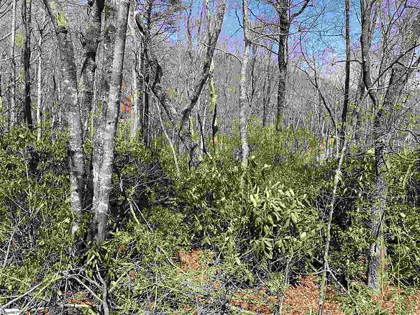 0.7 Acres of Residential Land for Sale in Landrum, South Carolina