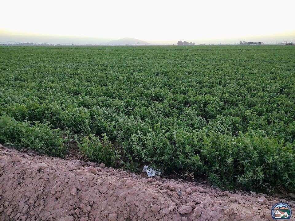 113.77 Acres of Agricultural Land for Sale in Calexico, California