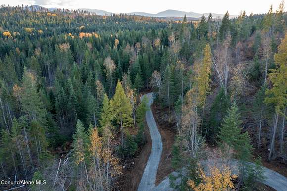 20 Acres of Land for Sale in Careywood, Idaho