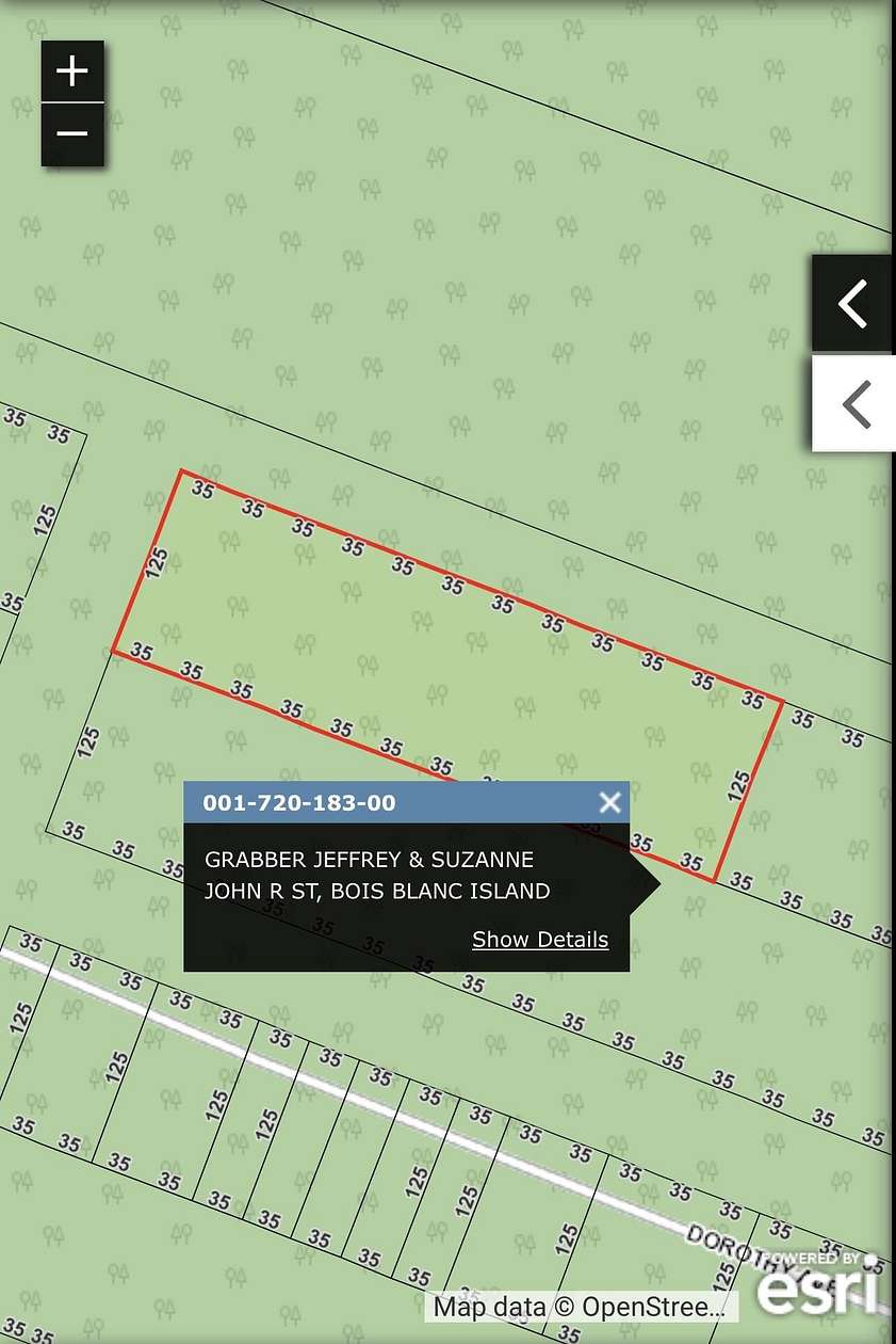 1.21 Acres of Residential Land for Sale in Bois Blanc Township, Michigan