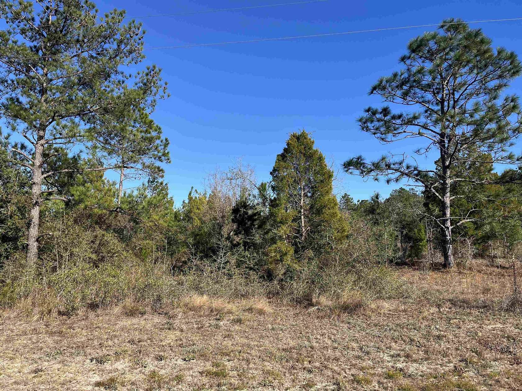 1.23 Acres of Residential Land for Sale in Marianna, Florida