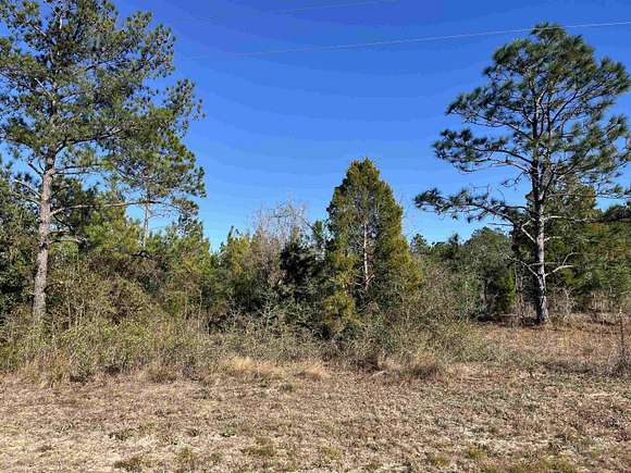 1.23 Acres of Residential Land for Sale in Marianna, Florida