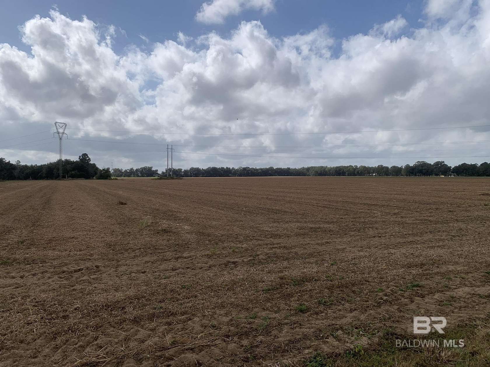 113 Acres of Land for Sale in Loxley, Alabama