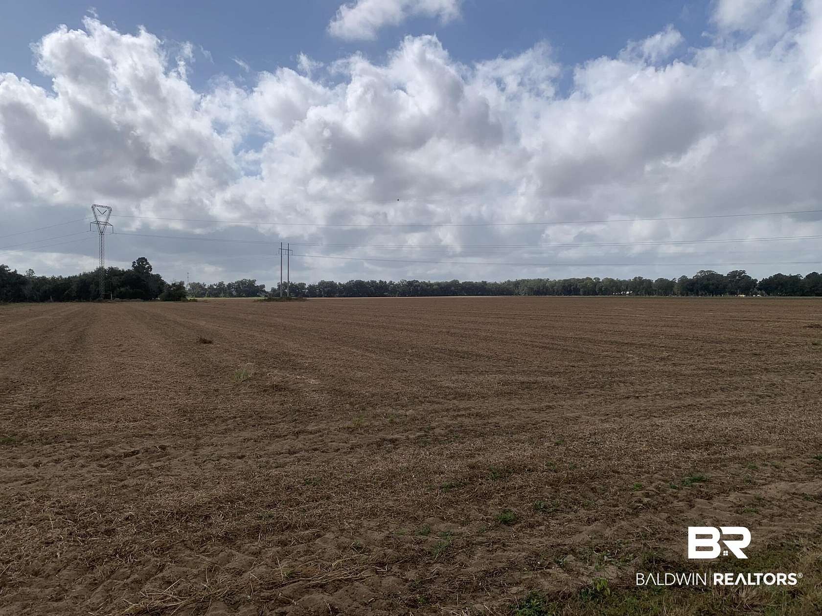 113 Acres of Land for Sale in Loxley, Alabama