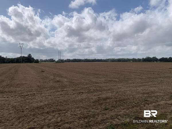 113 Acres of Land for Sale in Loxley, Alabama