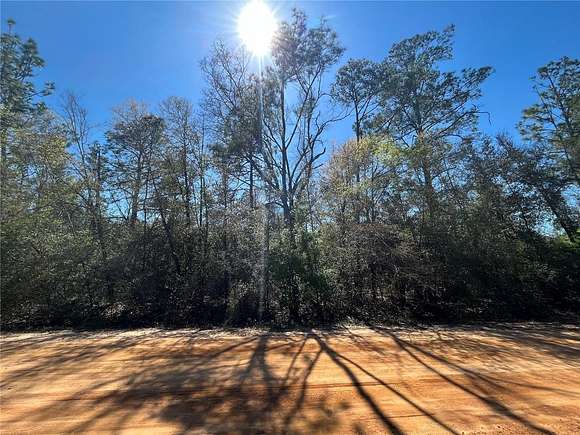 1.2 Acres of Residential Land for Sale in Alford, Florida