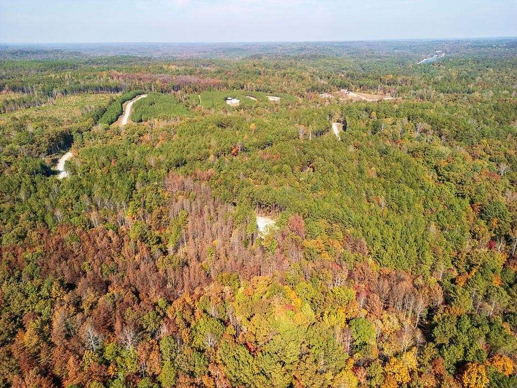 0.65 Acres of Residential Land for Sale in Double Springs, Alabama