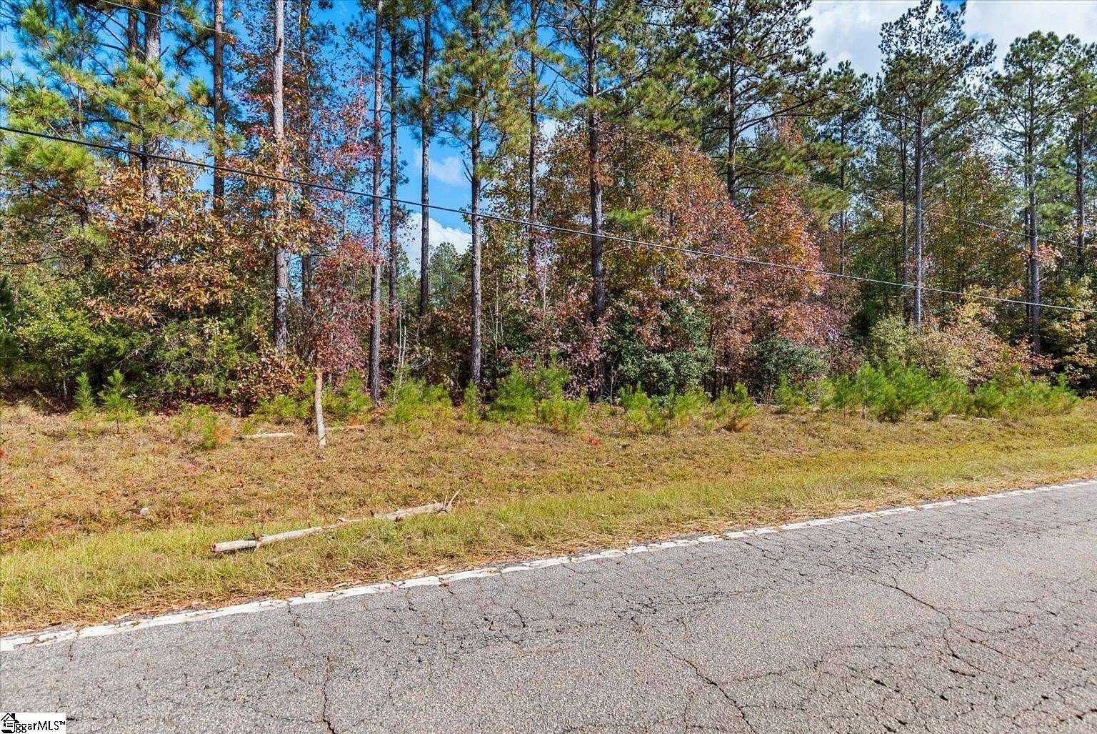 10 Acres of Residential Land for Sale in Fountain Inn, South Carolina